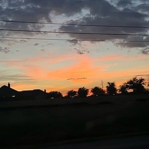 Meet your Posher, Sidney